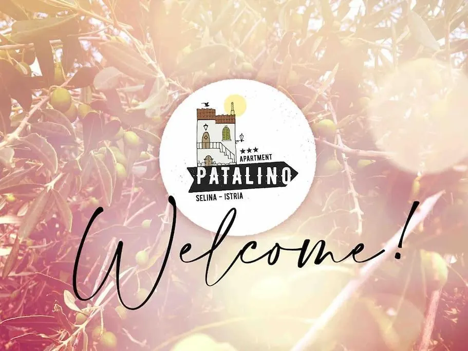 Apartman Patalino Selina